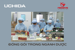 DONG-GOI-TRONG-NGANH-DUOC-300x200