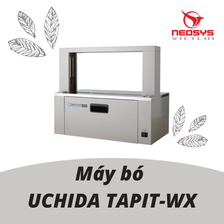 May-bo-UCHIDA-TAPIT-WX
